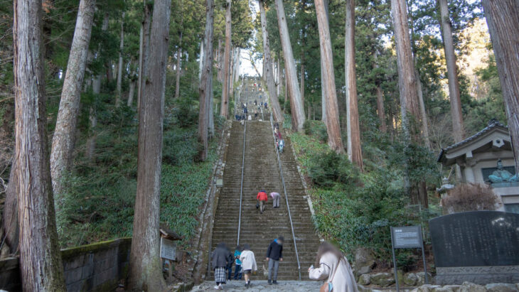 久遠寺の菩提悌