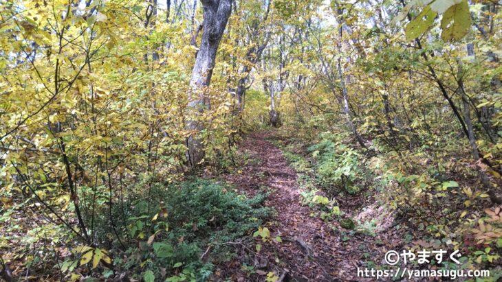 岩木山百沢ルートの登山道
