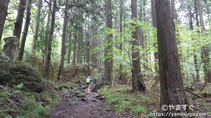 金時山の登山道