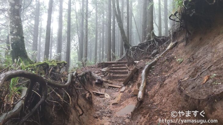 金時山の登山道